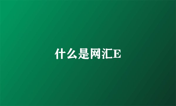 什么是网汇E