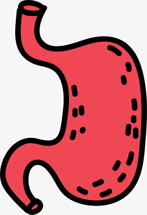 哪些动物拥有多个胃呢？