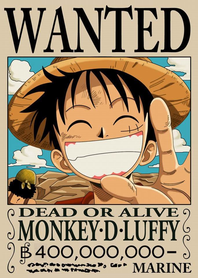 求海贼王所有人物介绍（带图）谢谢