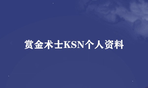 赏金术士KSN个人资料