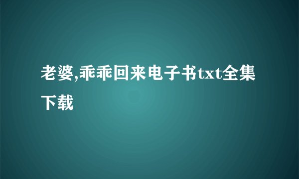 老婆,乖乖回来电子书txt全集下载
