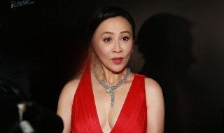 演员刘嘉玲简介 刘嘉玲早年经历