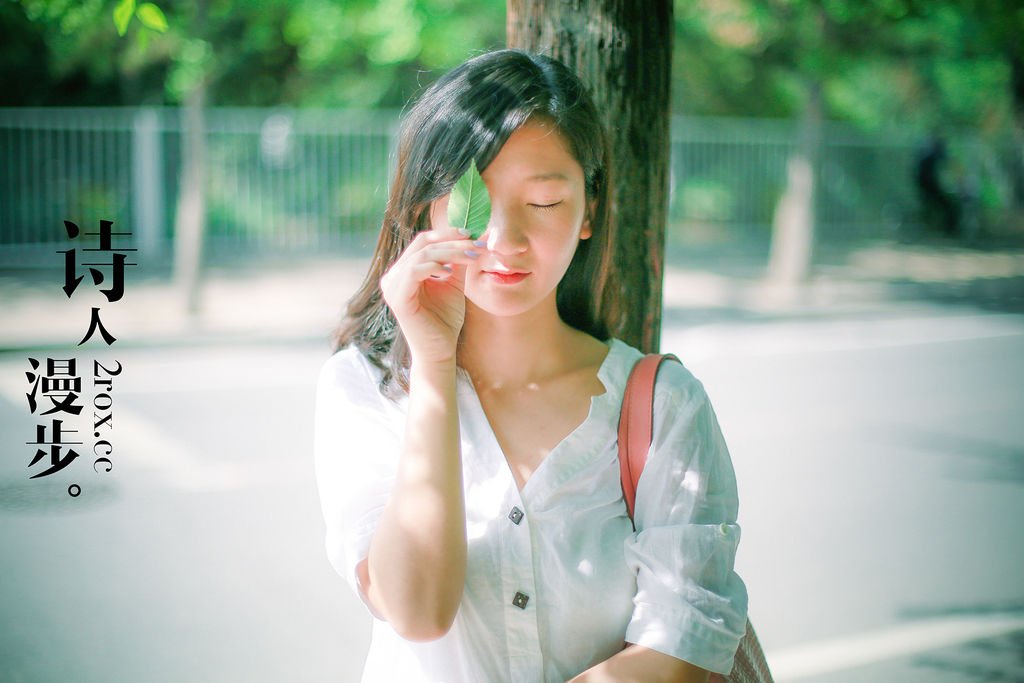 诗人漫步的介绍