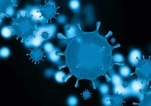 首例变异病毒株BA.5输入上海，当地做出了怎样的应对措施？