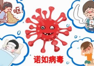 中国农业大学多人感染诺如病毒，确诊学生出现了哪些症状？