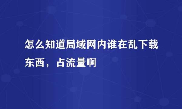 怎么知道局域网内谁在乱下载东西，占流量啊
