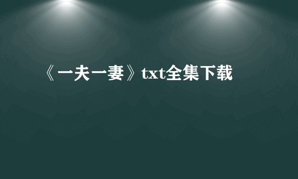《一夫一妻》txt全集下载