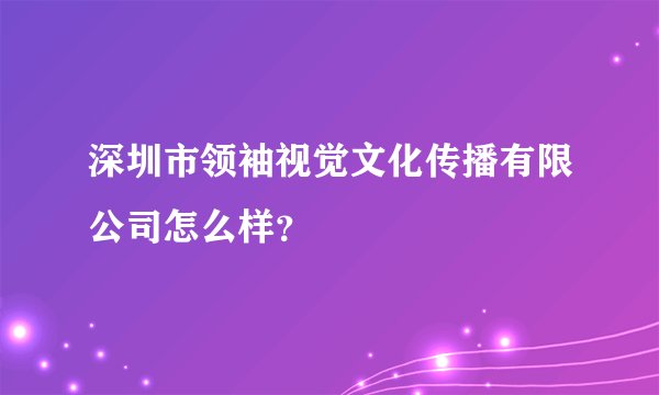 深圳市领袖视觉文化传播有限公司怎么样？
