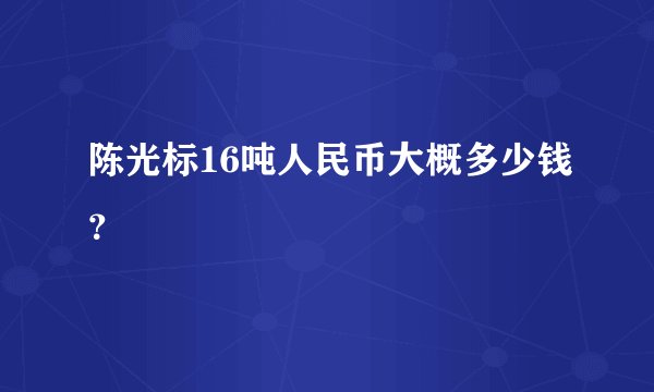 陈光标16吨人民币大概多少钱？
