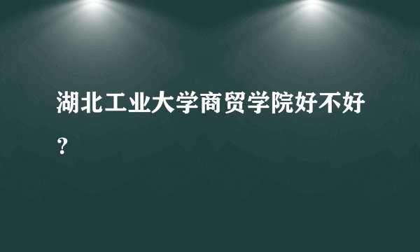 湖北工业大学商贸学院好不好？