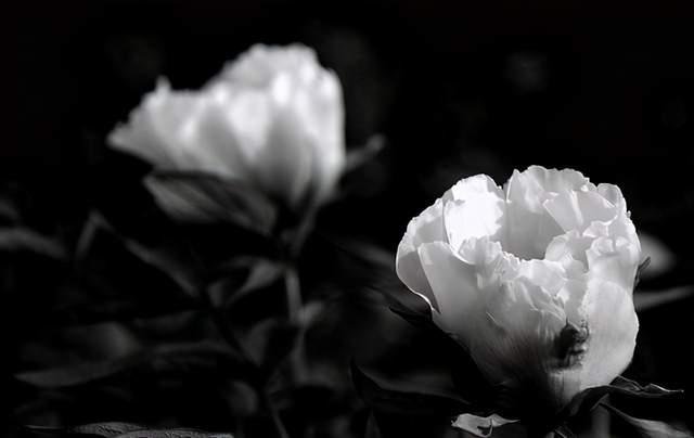 19岁女孩“学车”后遇害，嫌犯曾在同一驾校学车，后来怎样了？