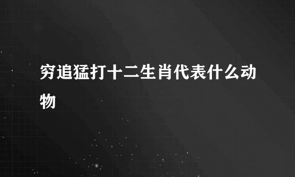 穷追猛打十二生肖代表什么动物