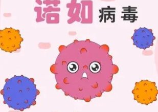 中国农业大学多人感染诺如病毒，确诊学生出现了哪些症状？