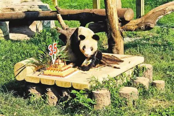 例组词语和部首