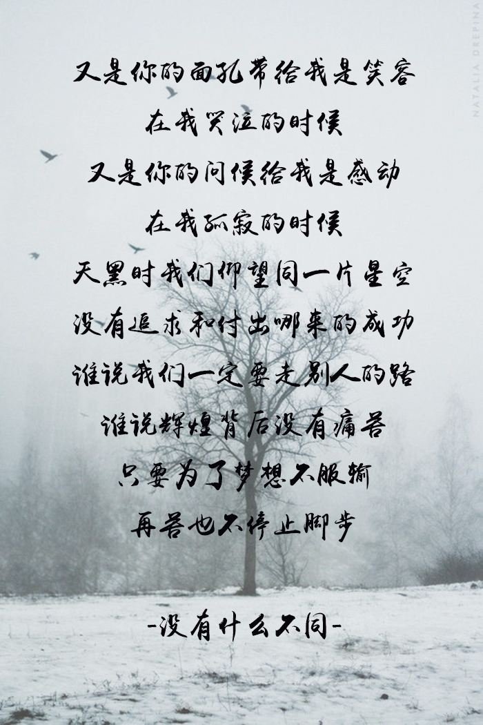 “也许我们没有什么不同”是哪首歌的歌词