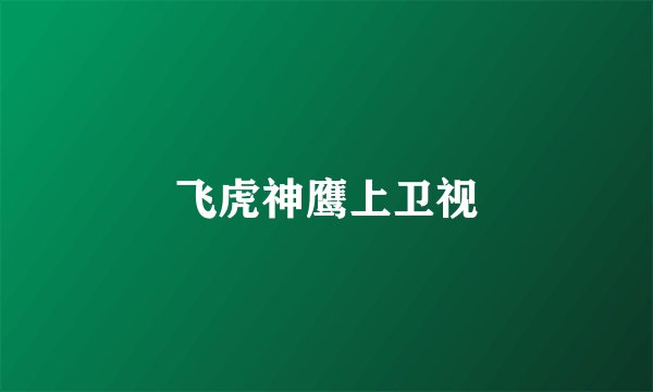 飞虎神鹰上卫视