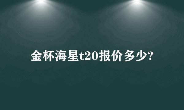 金杯海星t20报价多少?