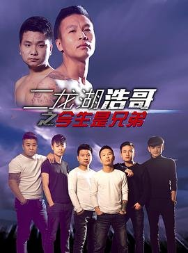 二龙湖浩哥几部了