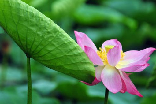 2020年逢春标准时间是几月几日几时几分?