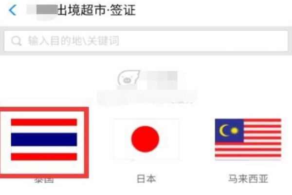 网上如何办理签证？