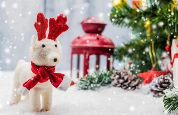 平安夜快乐和圣诞节快乐的英语是怎样翻译