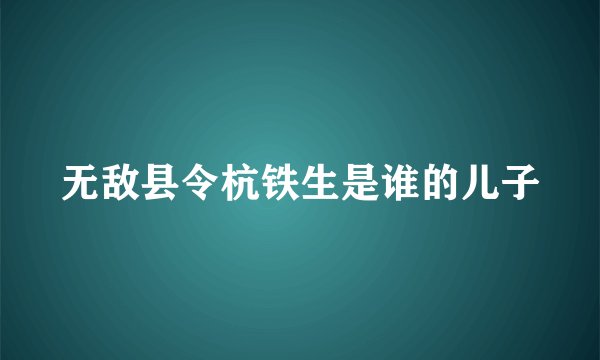无敌县令杭铁生是谁的儿子