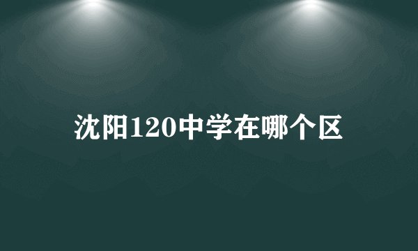 沈阳120中学在哪个区
