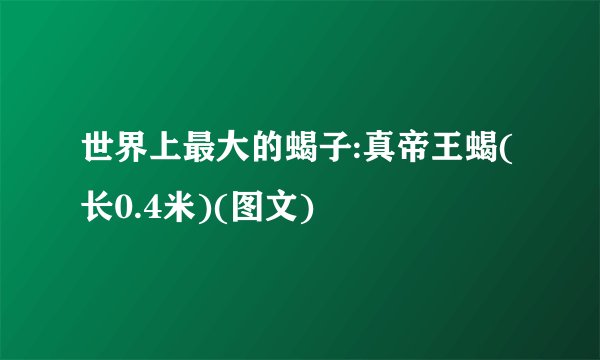 世界上最大的蝎子:真帝王蝎(长0.4米)(图文)