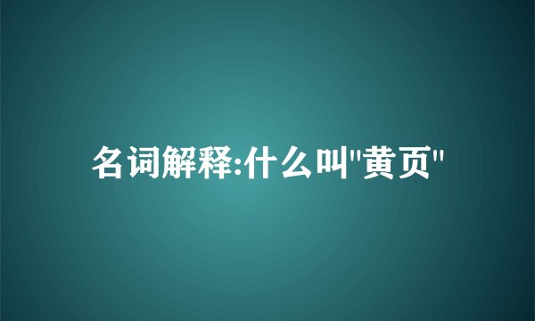 名词解释:什么叫