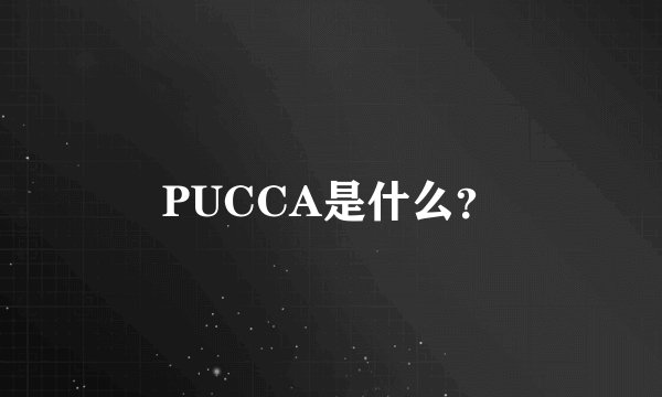 PUCCA是什么？