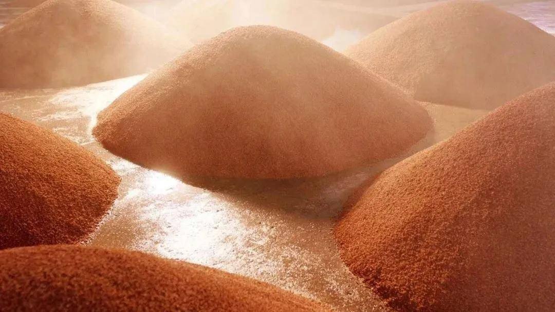 重阳下沙什么意思