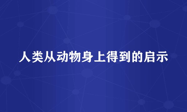 人类从动物身上得到的启示