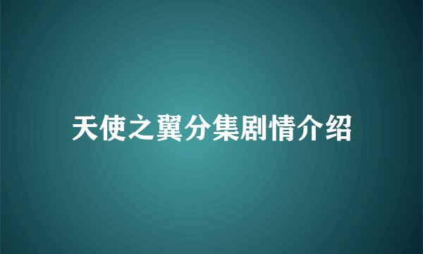 天使之翼分集剧情介绍