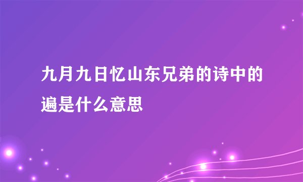 九月九日忆山东兄弟的诗中的遍是什么意思