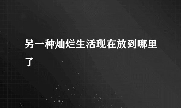 另一种灿烂生活现在放到哪里了