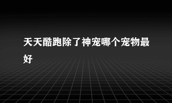天天酷跑除了神宠哪个宠物最好