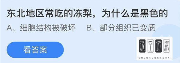 东北地区常吃的冻梨为什么是黑色的