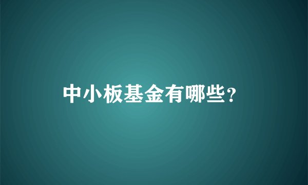 中小板基金有哪些？