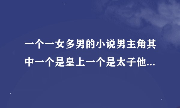一个一女多男的小说男主角其中一个是皇上一个是太子他们两个爱上一个女人他们两个好像是姓莫