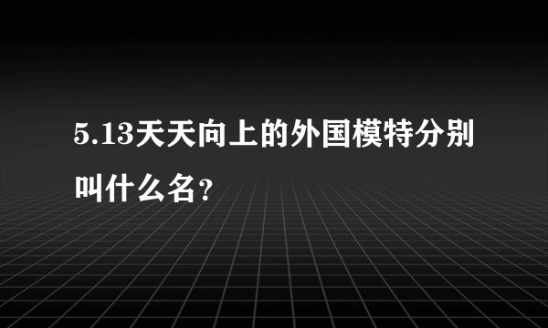 5.13天天向上的外国模特分别叫什么名？
