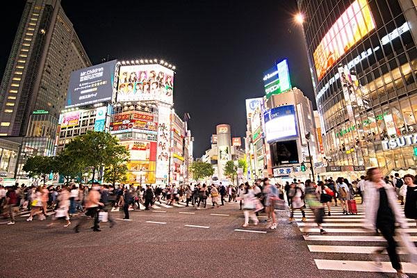 喧嚣一时的动物是什么