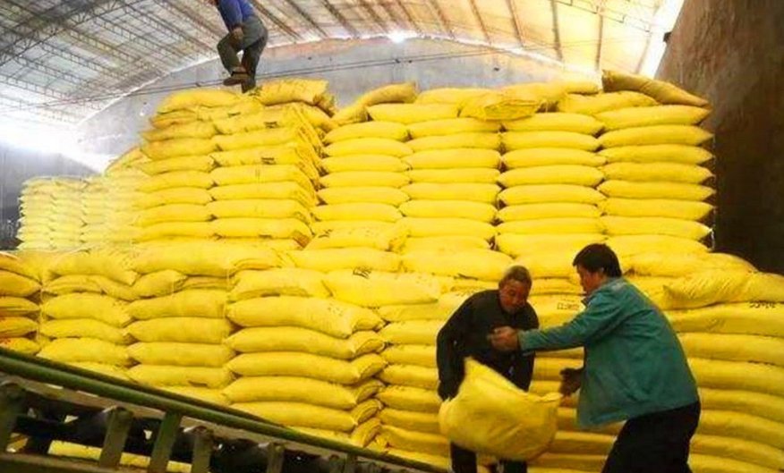 一顿大概多少公斤?