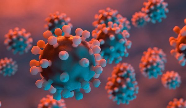 你怎么看待世卫称二次感染新冠不常见所阐述的话呢？