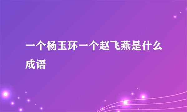 一个杨玉环一个赵飞燕是什么成语