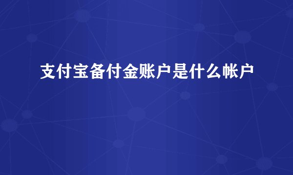 支付宝备付金账户是什么帐户