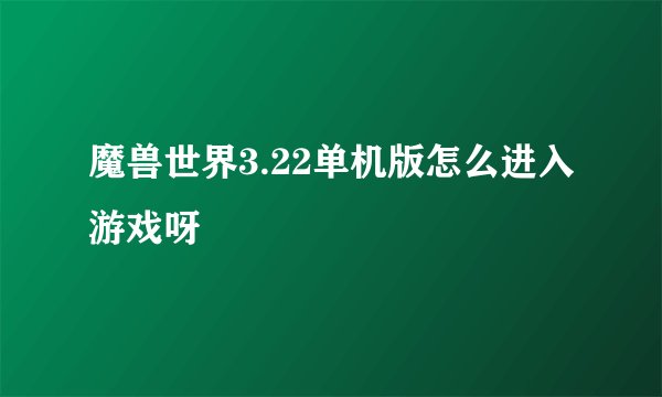 魔兽世界3.22单机版怎么进入游戏呀