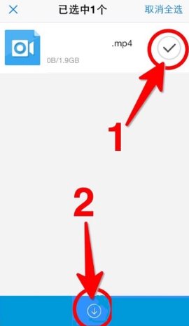 bt下载怎么操作？