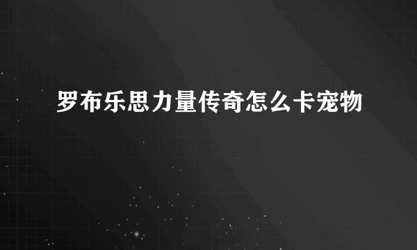 罗布乐思力量传奇怎么卡宠物