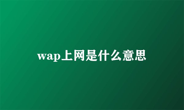 wap上网是什么意思