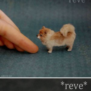 筠芝坊的研发团队